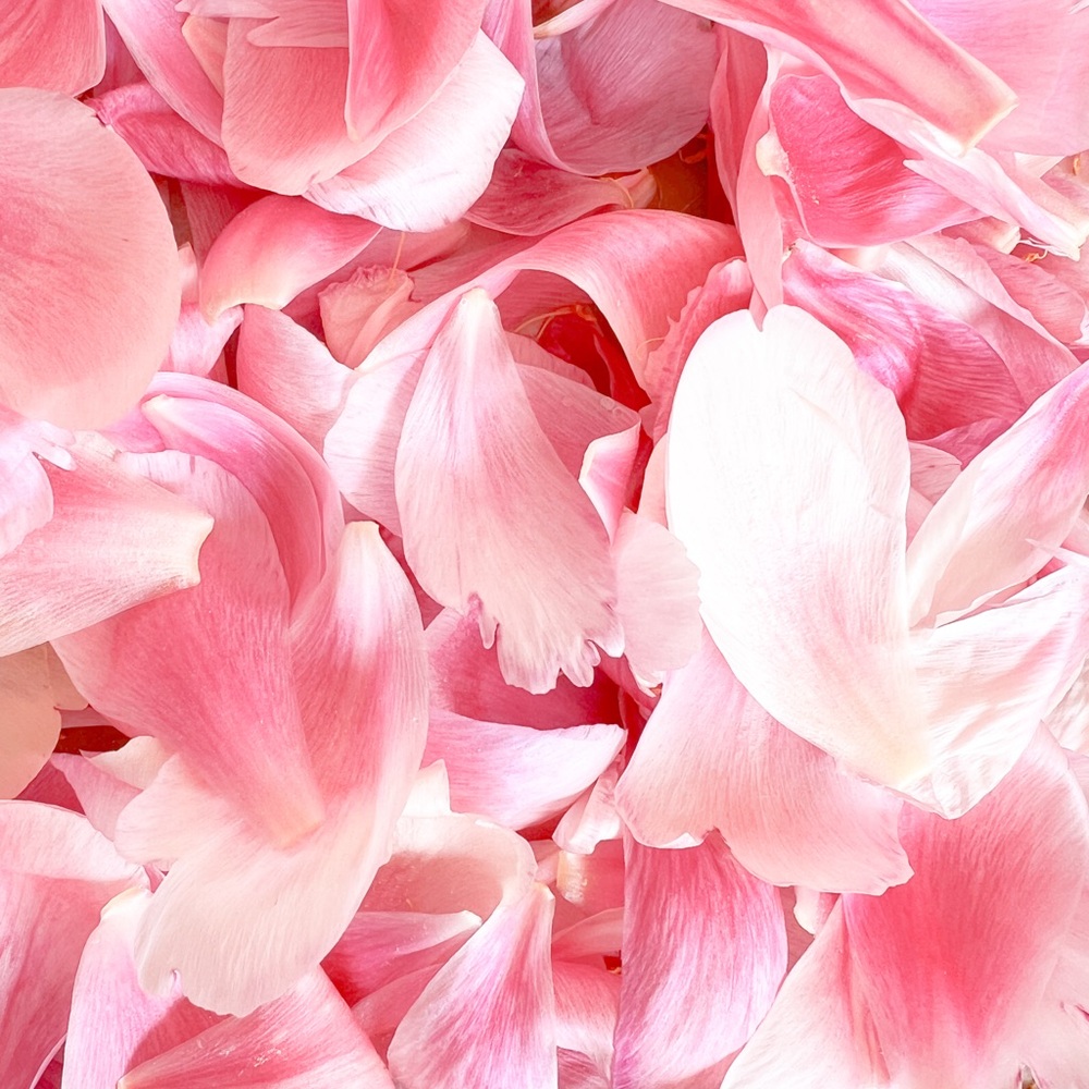 Real 18k Gold necklace